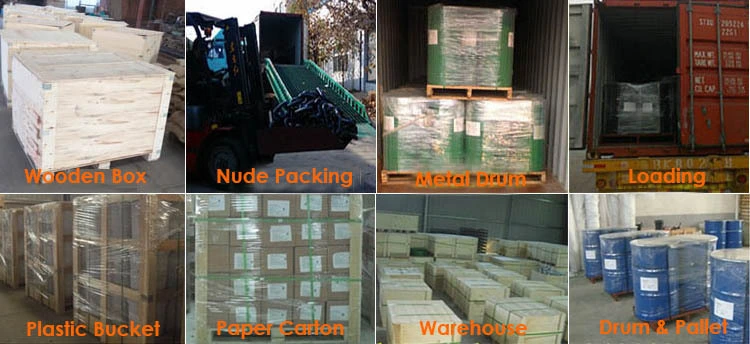 Тип крюк шарнирного соединения нержавеющей стали 304 груза выскальзывания глаза поднимаясь с защелкой безопасности