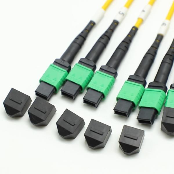144F MTP MPO Fanout Cable SMG657A1 MPO APC to MPO APC Breakout Fiber Optic Patch Cord
