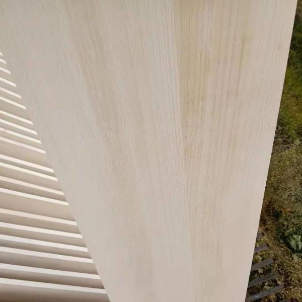 Paulownia Wood Board Glued Timber Panels 16mm Thickness For Living Room