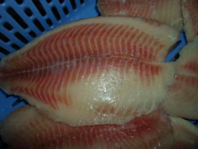 Thailand Origin Fresh Frozen Seafood / Bulk Frozen Fish Tilapia Fillet