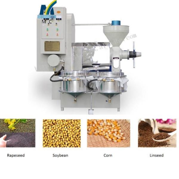 Sesame Cottonseed Oil Press Machine Flaxseed Making Machinery with Customization