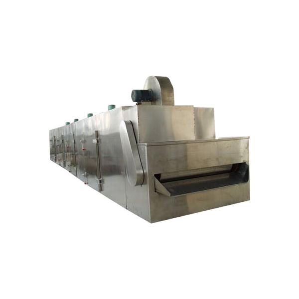 Continuous Industrial Conveyor Mesh Belt Dryer For Vegetable Seaweed Herb Coconut