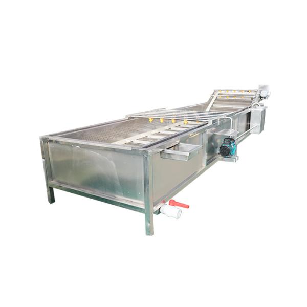 SUS304 Industrial Restaurant Vegetable Washing Machine