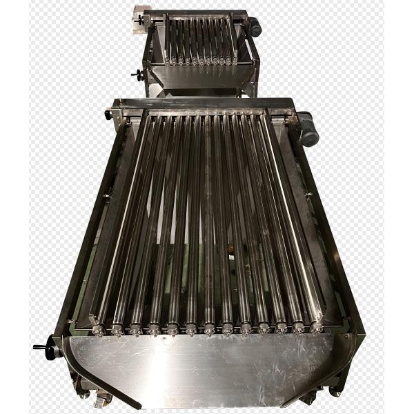 Высококачественная автоматическая рыболовная машина и линия сортировки мелкой рыбы с 5-10T / h