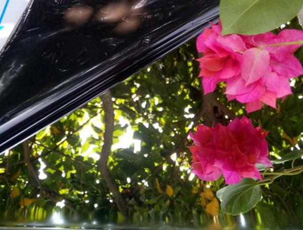 Decorative Stainless Steel Sheets 8K Mirror Factory Manufacturer With Cheaper Price