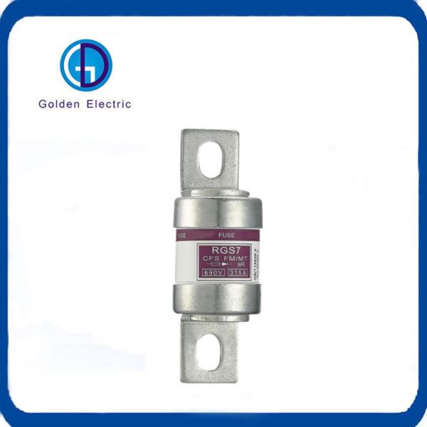Rgs11 Rgs4 Rgs RS Rg Bolt Connected AC/DC 100ka 10A 16A 20A 30A 60A 80A 125A 250A Ceramic