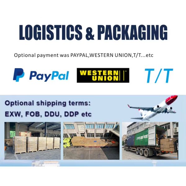 Automatic Hydraulic Bollard with 304/316 Stainless Steel LED Lights and Hydraulic System for Secure Parking