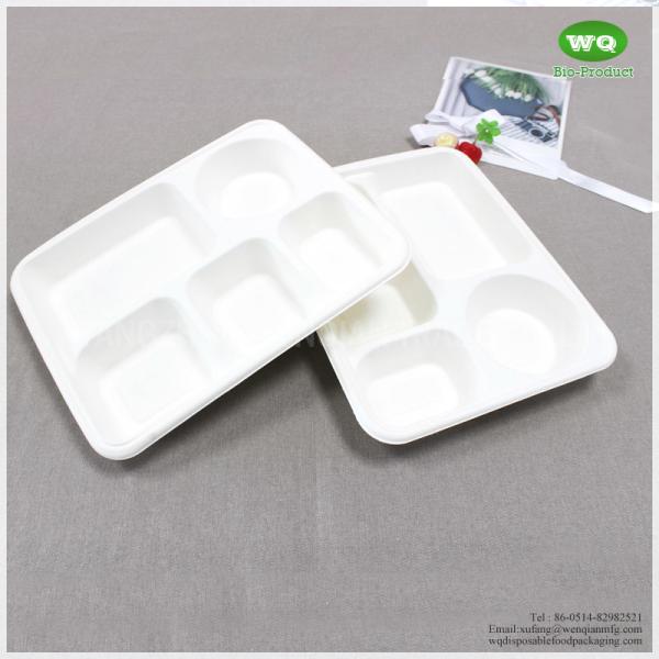 5 Compartments Unbleached Bagasse Tray-China Factory Offer Eco-friendly Fast Food Box Container Tray for Hot Foods