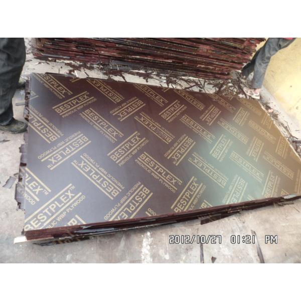 18mm birch film faced plywood with MELAMINE glue 