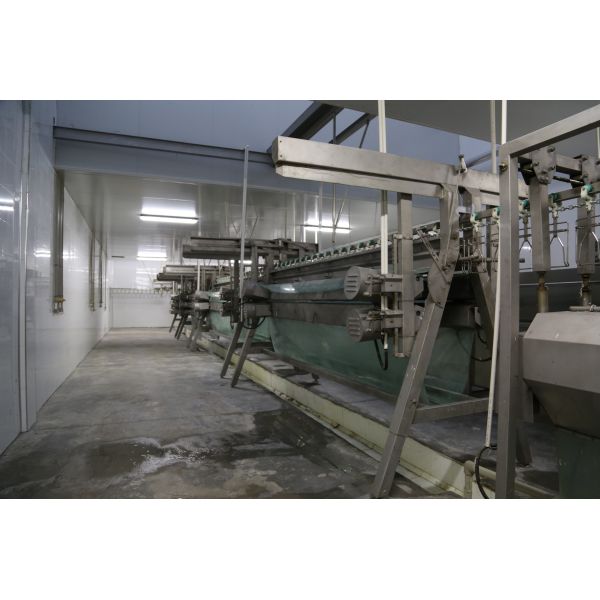 Chicken Slaughter and Plucking Line Small Chicken Slaughtering Machine Line Chicken Slaughter Machine