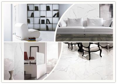White Marble Look Porcelain Tile / 24x48 Floor Tile Accurate Dimensions Fashion