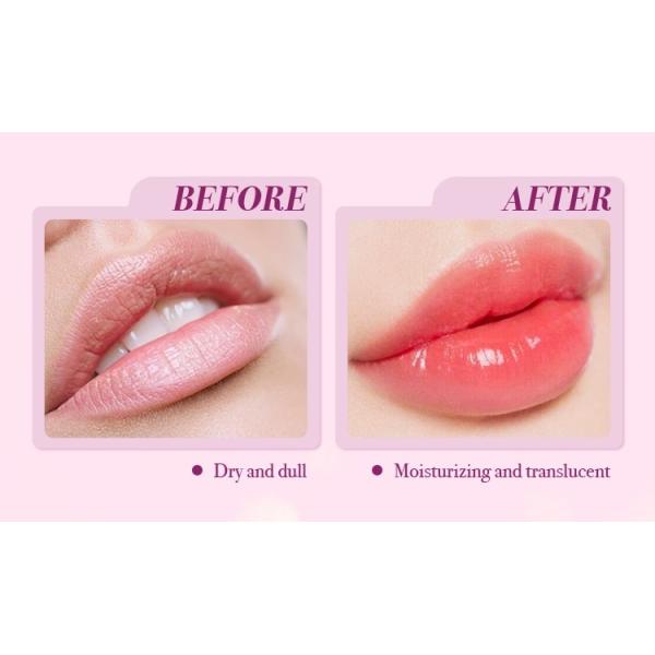 Customized SPF Hydrating Lip Balm Colored Lip Balm Creamy Form