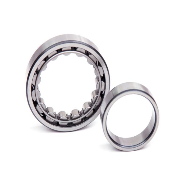 Open Seals Brass Cage Cylinder Roller Bearing NU203 Auto Drawing Steel