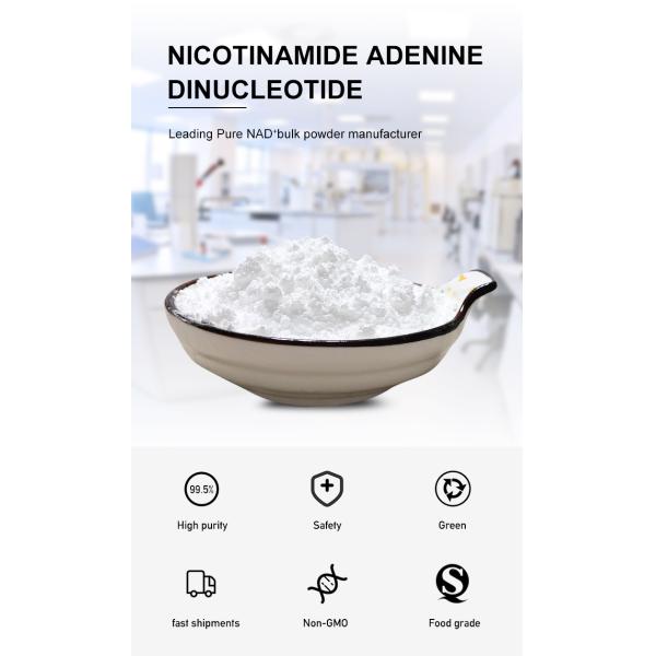Косметический класс 99% Высокая чистота Ниацинамид сырой порошок Повысители питательных свойств 53-84-9