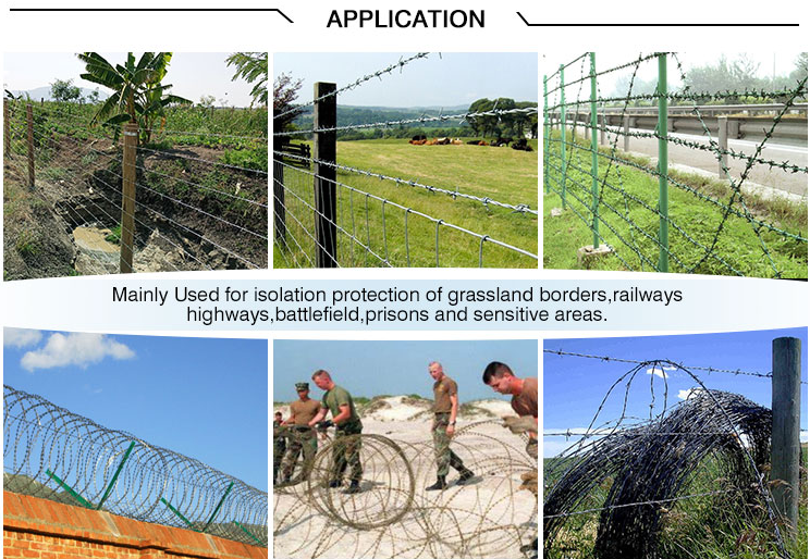 2.5mm Galvanized Anti Climb Barbed Razor Wire for Protective Construction