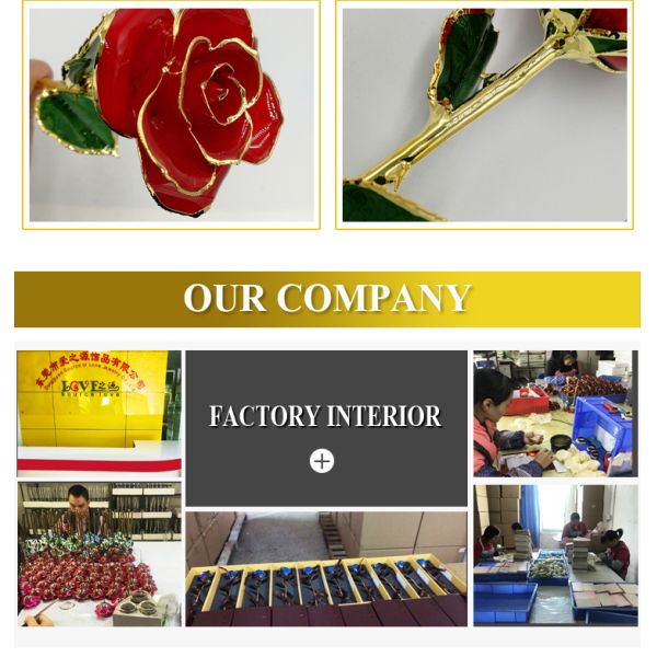 Golden Rose Beautiful Gold Black Rose Flowers Wedding Decoration Black Rose for Selling Gifts