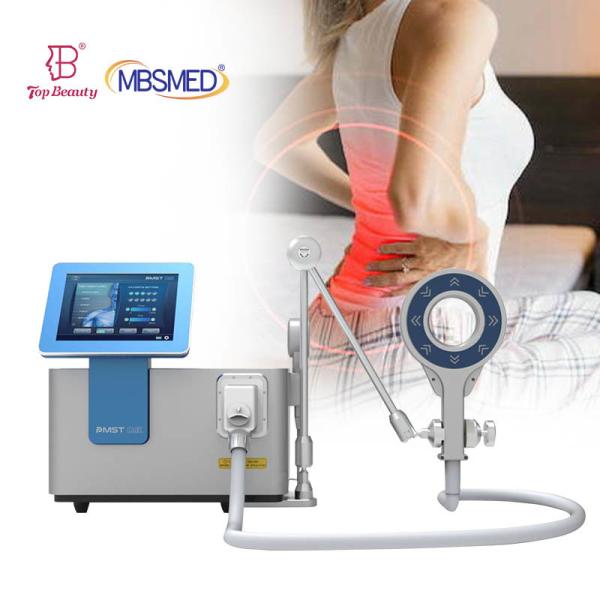 Pemf Loop Equine Pmst Loop Physical Therapy Magnetic Pmst High Powered Magneto Pemf Therapy Machine For Human And Horse