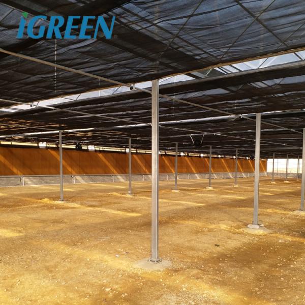 IGreen Agricultural Greenhouses Large Panda Film Greenhouse Suitable for All Climates