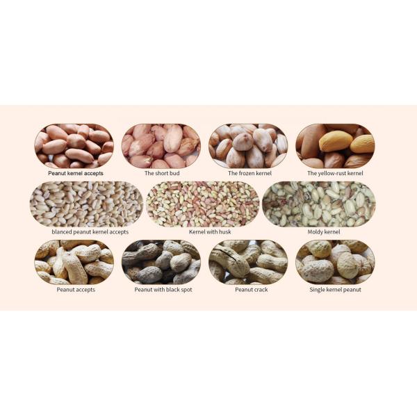 Арахис в раковине/отбеленной сортировщице цвета арахиса с сортировать формы