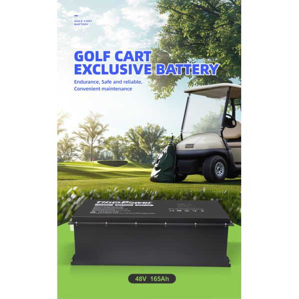 48V Electric Buggy 165Ah Lithium Ion Battery With BMS