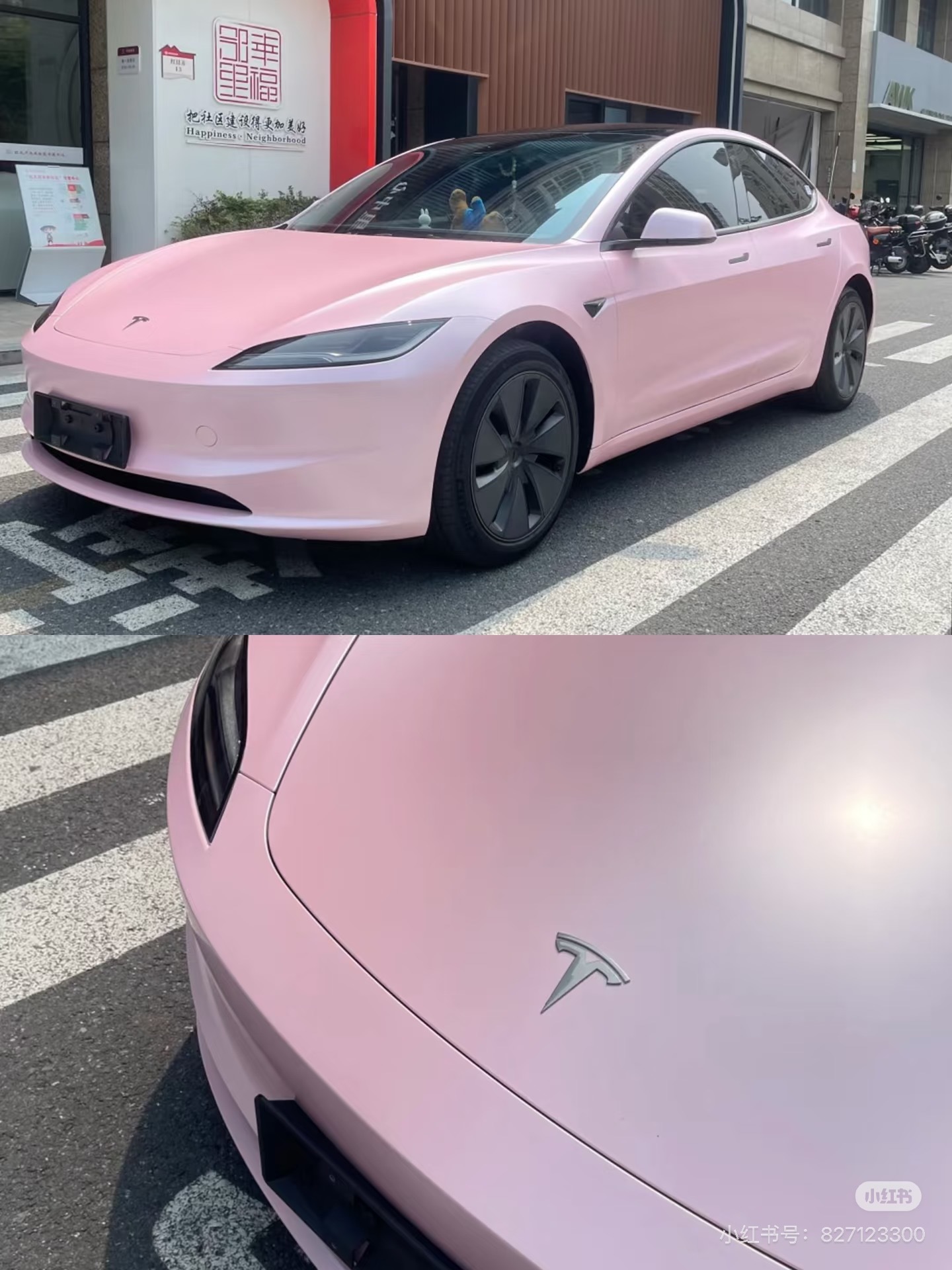 Color TPU PPF