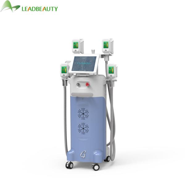 Body Weight Loss Sculpting Slimming Freeze Fat 4 handles cryolipolysis body slimming weight loss