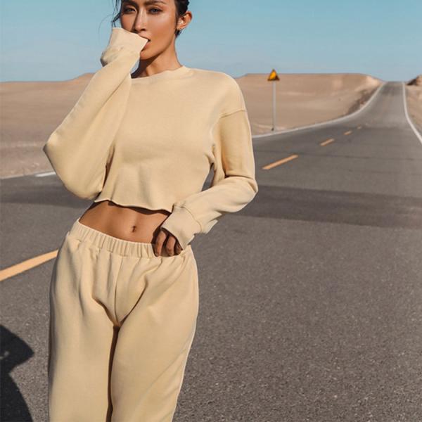 Рукав моды длинный вокруг верхней части урожая полиэстера хлопка шеи