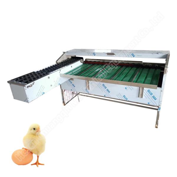 Egg Size Sorting Machine Egg Sorter Machine Automatic Egg Grading Machine