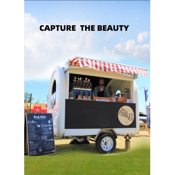 Vacuum Tyre Mobile Food Carts with Grilled Sausage Machine and Stainless Steel Design