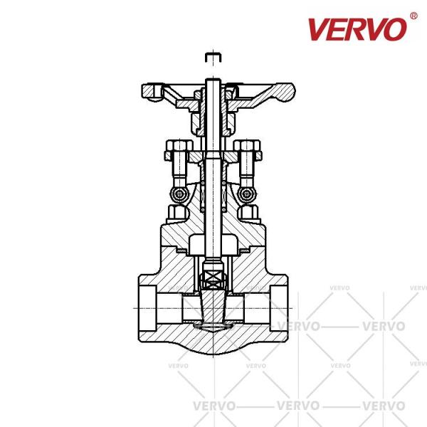 As válvulas industriais do ISO 15761 industriais da válvula de porta forjaram F304 de aço inoxidável de aço 316L interruptor da válvula de porta 800lb de 0,5 polegadas