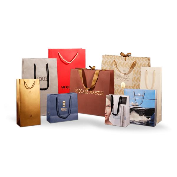 Gift White Cardboard Shopping Bag For Jewelry Clothing Shoes Packaging Custom Printed