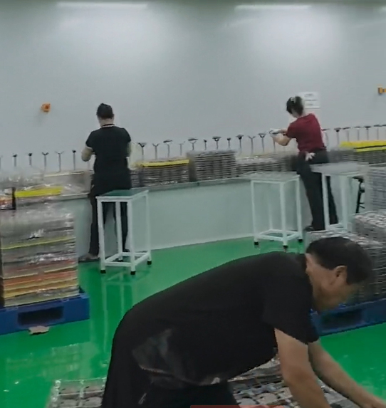 Coattech High-Precision Cleanroom Conveyor Packaging Line For Advanced Manufacturing