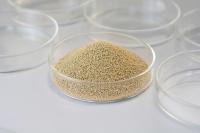 Granule de lipase immobilisée à haute réutilisabilité 4000U/g
