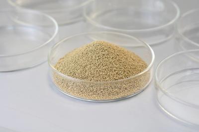 Food Grade Immobilized Lipase Immobilized Enzyme Granule 4000U/G