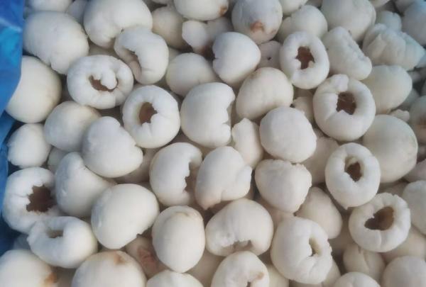 Sinocharm BRC A Approved IQF Frozen Product Fruit Peeled Lychee Good Price Best Price Lychee Wholesale Frozen Organic Lychee