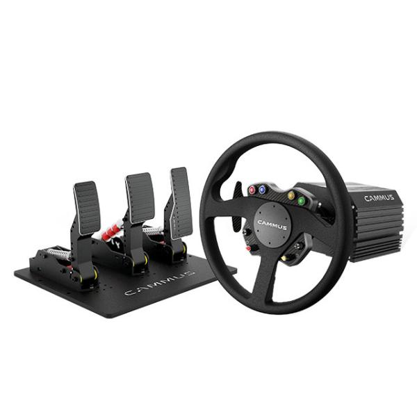 Ergonomically Designed PC F1 Racing Simulator With Pedal