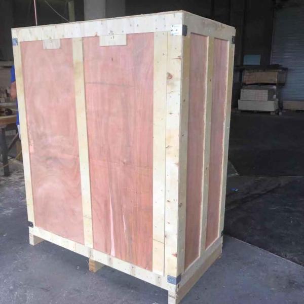 mango juice processing machine