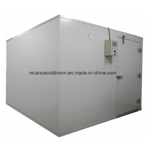 PU10098 Manual Sliding Door for Cold Storage Room Hospital Cold Chain Solution