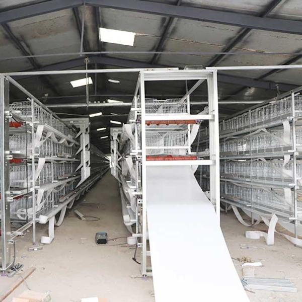 3 / 4 / 5 Tiers Layer Chicken Cage 190 * 35 * 38cm / 195 * 45 * 41cm Size