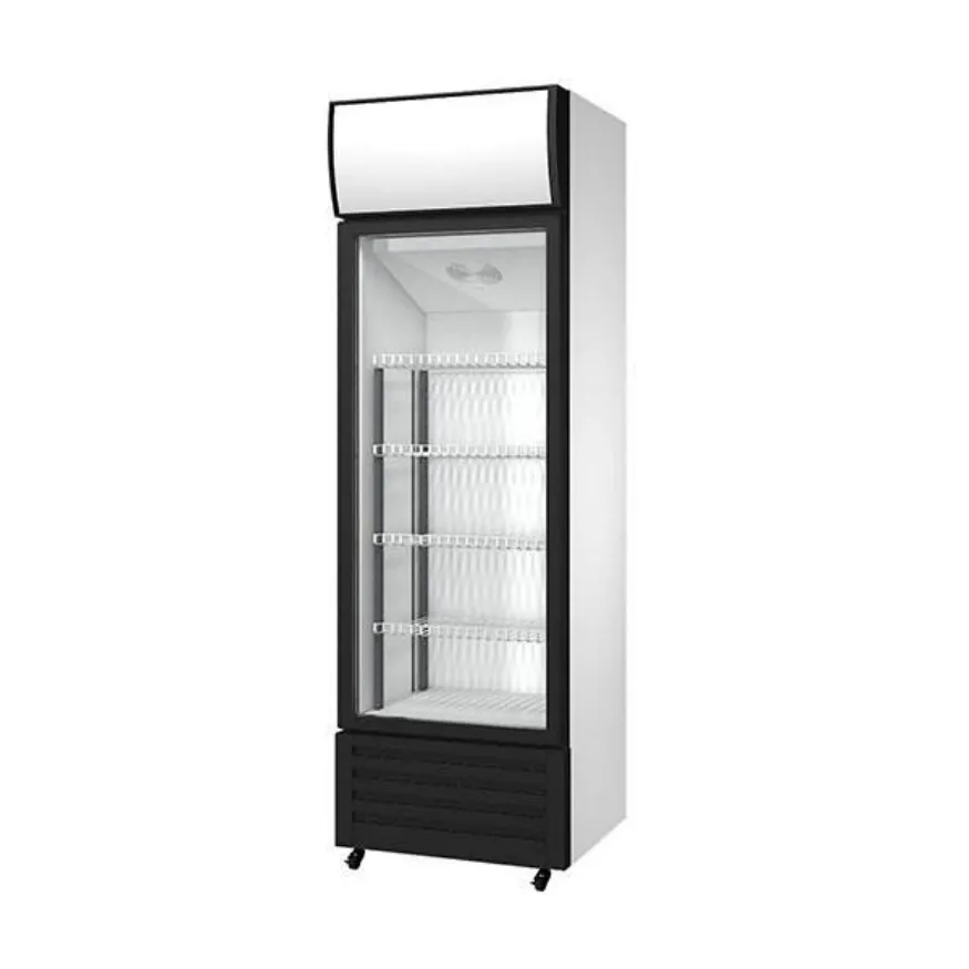 400L Convenience Store Display Cooler CE Certified Single Door Upright Freezer 265W