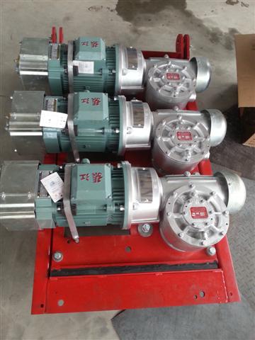 Small OEM Construction Hoist Parts Electric Lifting Cage Hoist Motor