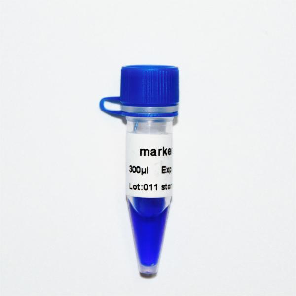 Marker 11 DNA ladder M1131 (50μg)/M1132 (5×50μg)
