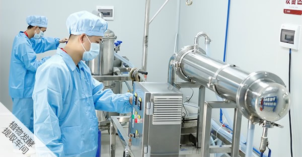 Multi сыворотка 30ml стороны сути действия чернит ключевую зеленую сконцентрированную суть