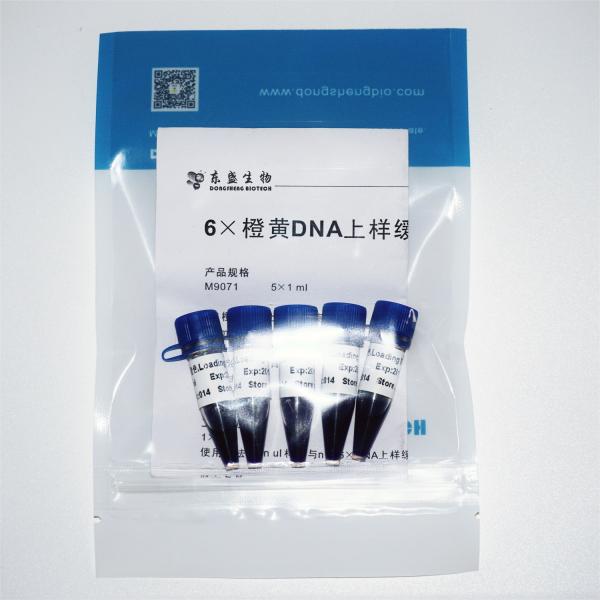 6× Gel Loading Dye Three Color DNA Electrophoresis Buffer 1mlx5