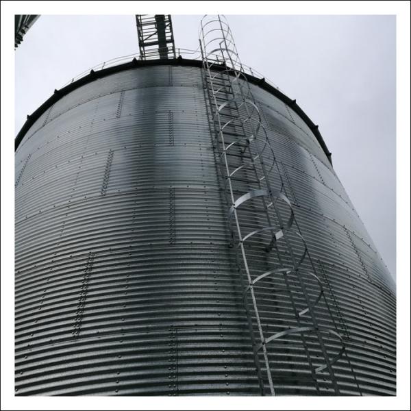 Field Corn Seed 50 Tons Dry Bulk Storage Silos