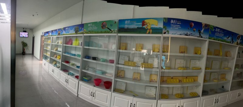 Shenzhen Blx-Silicone Technology Limited