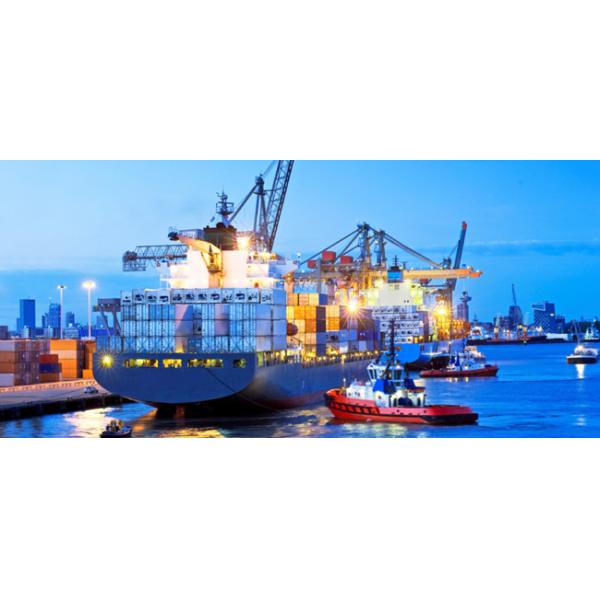 IP67 Aluminum Rugged Surveillance Camera 120M IR White Light Distance For Robot