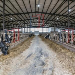Corrosion Resistant Prefabricated Steel Shed Construction , Steel Farm Equipment