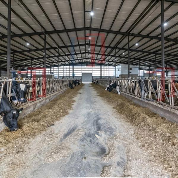 Corrosion Resistant Prefabricated Steel Shed Construction , Steel Farm Equipment Storage Shed