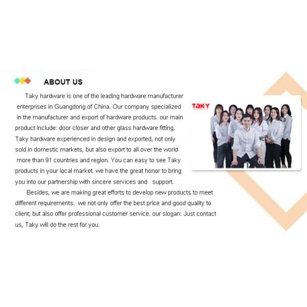 45-65кг Максимальный вес двери безопасное применение Авто Сдвижное дверное закрывающее устройство в алюминиевом сплаве